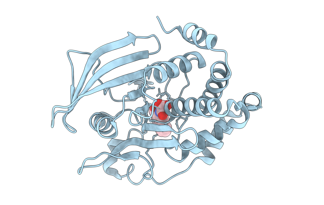 1C84 image