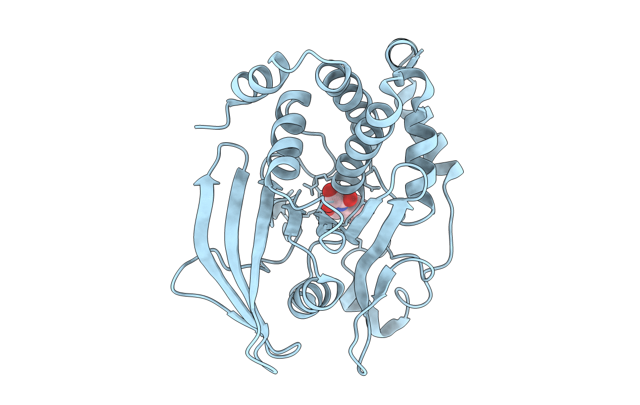 1C85 image