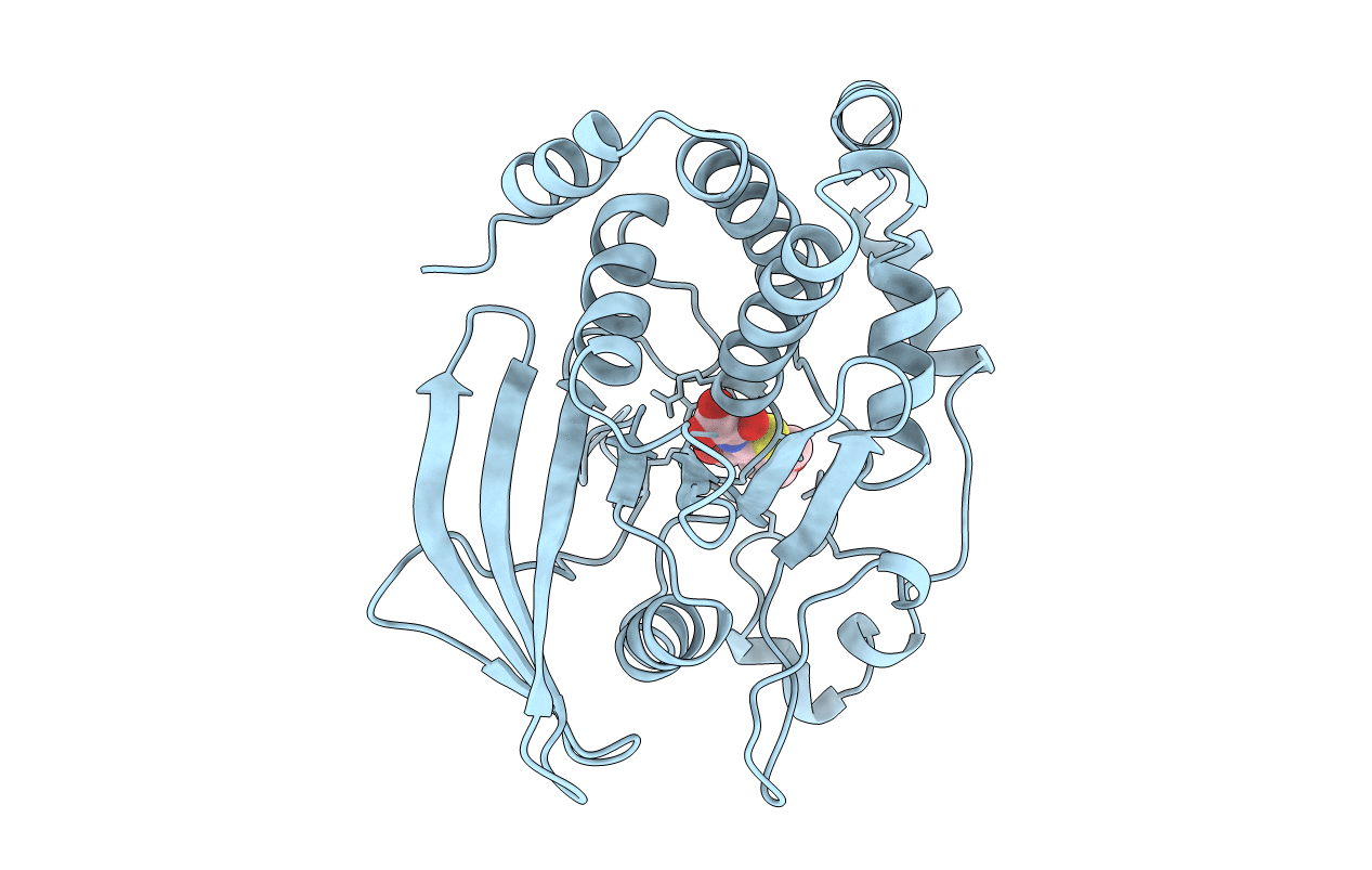 1C86 image