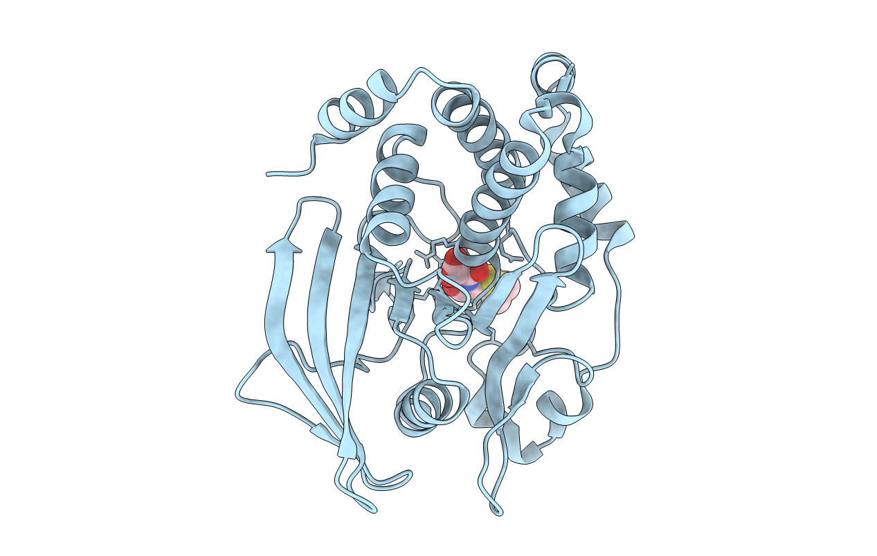 1C87 image
