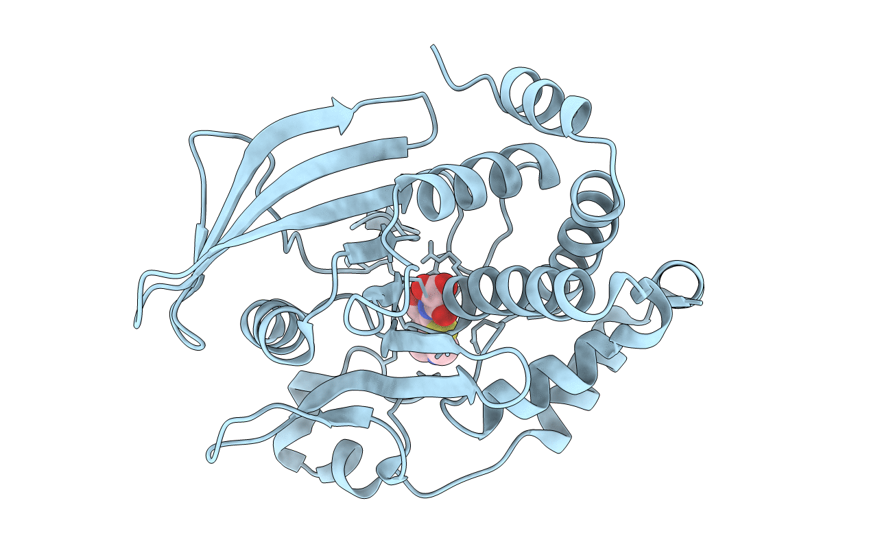1C88 image