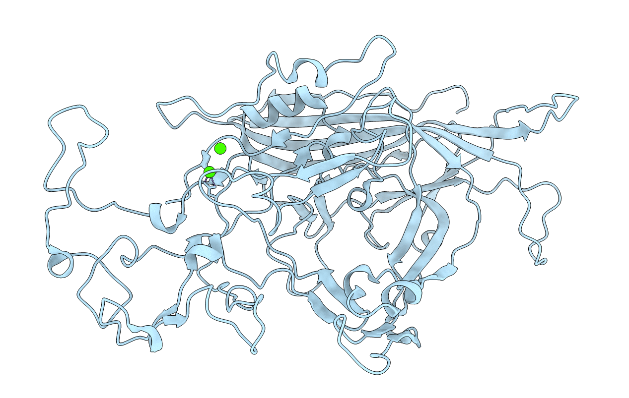 1C8G image