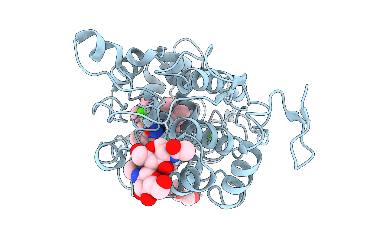 1C8I image