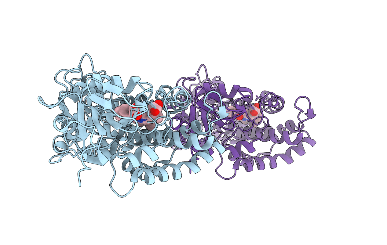 1C8J image