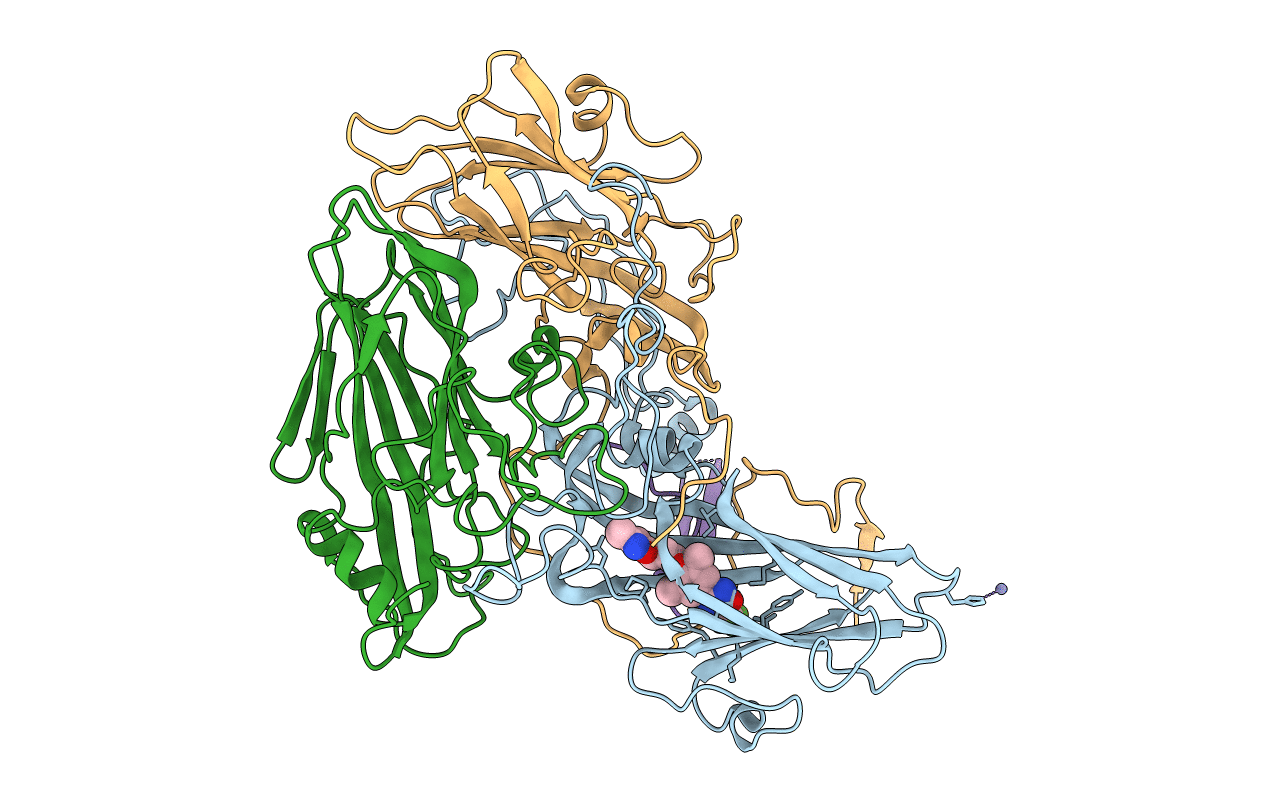 1C8M image