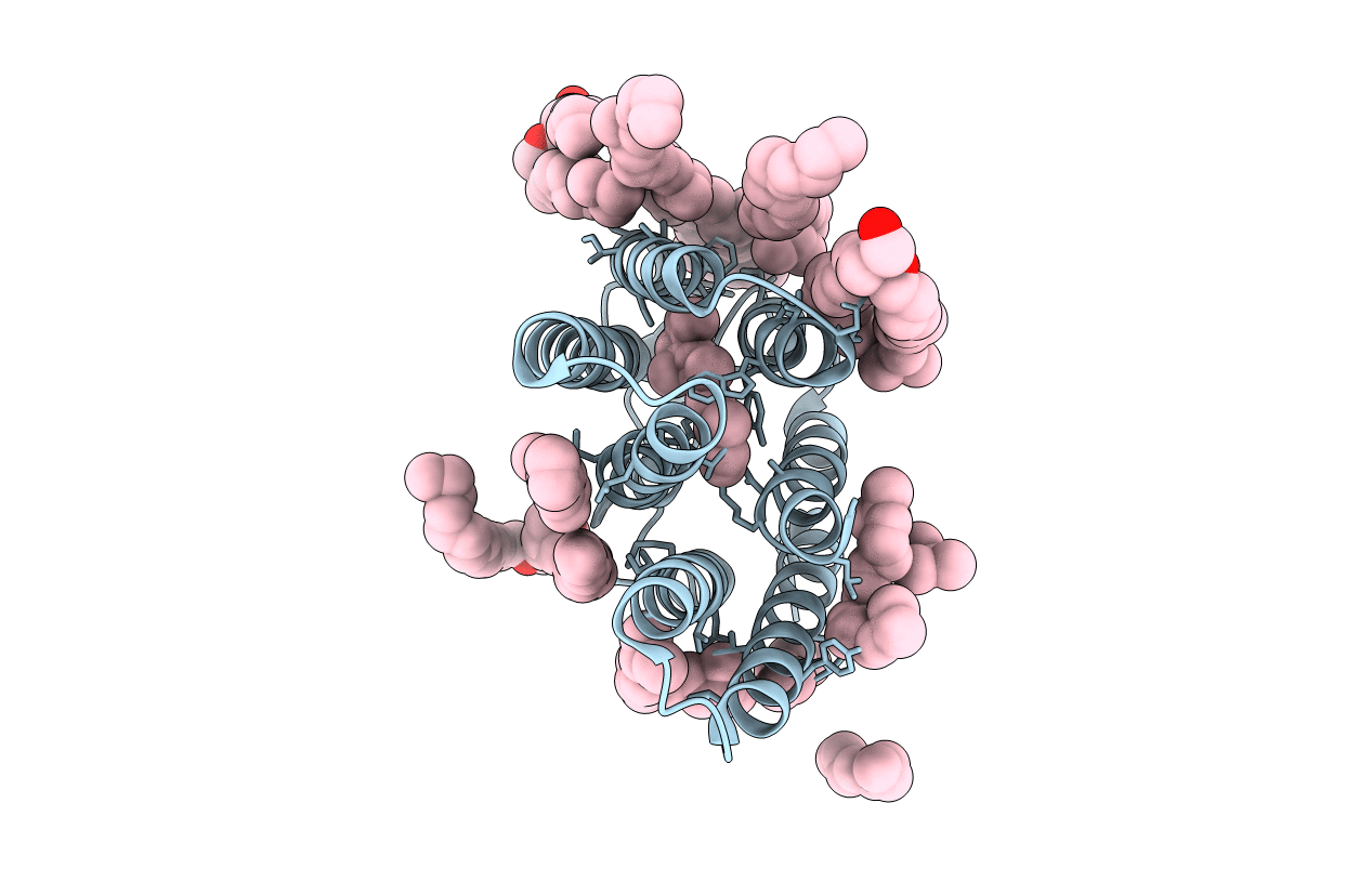1C8S image