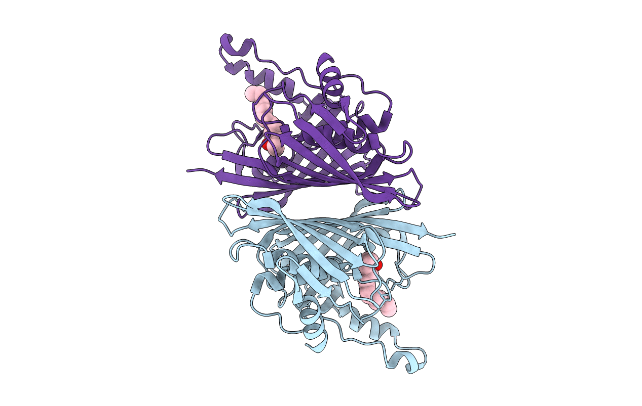1C8U image