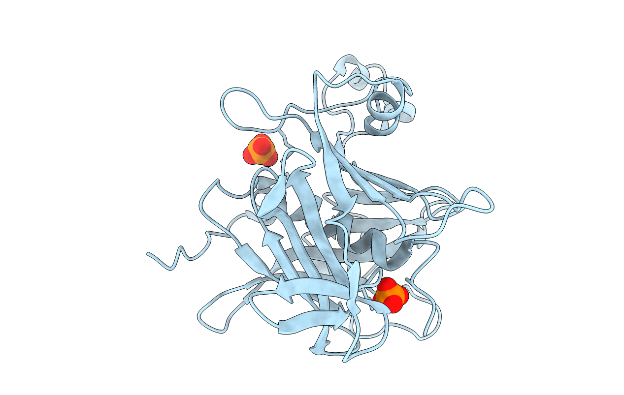 1C8Z image