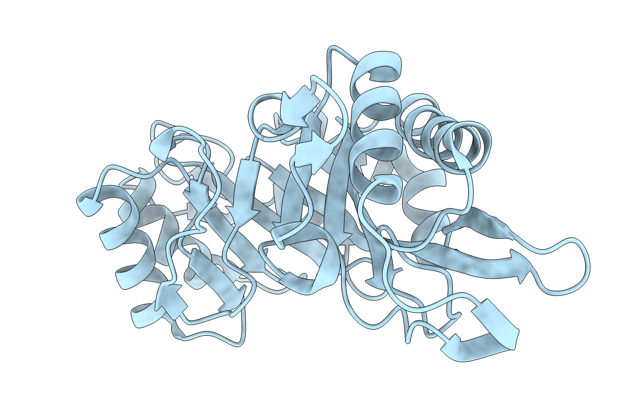 1C92 image