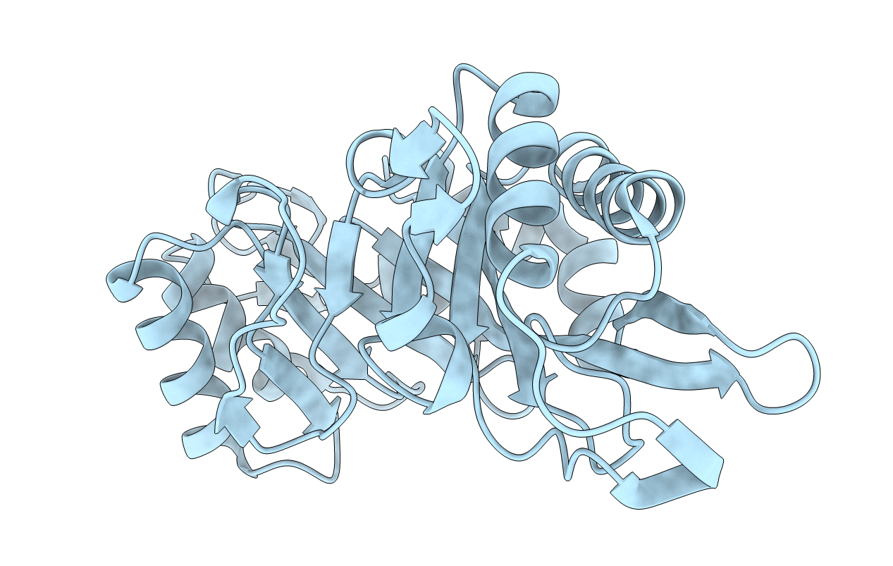 1C93 image