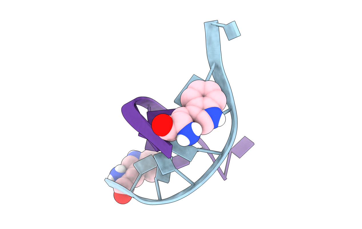 1C95 image