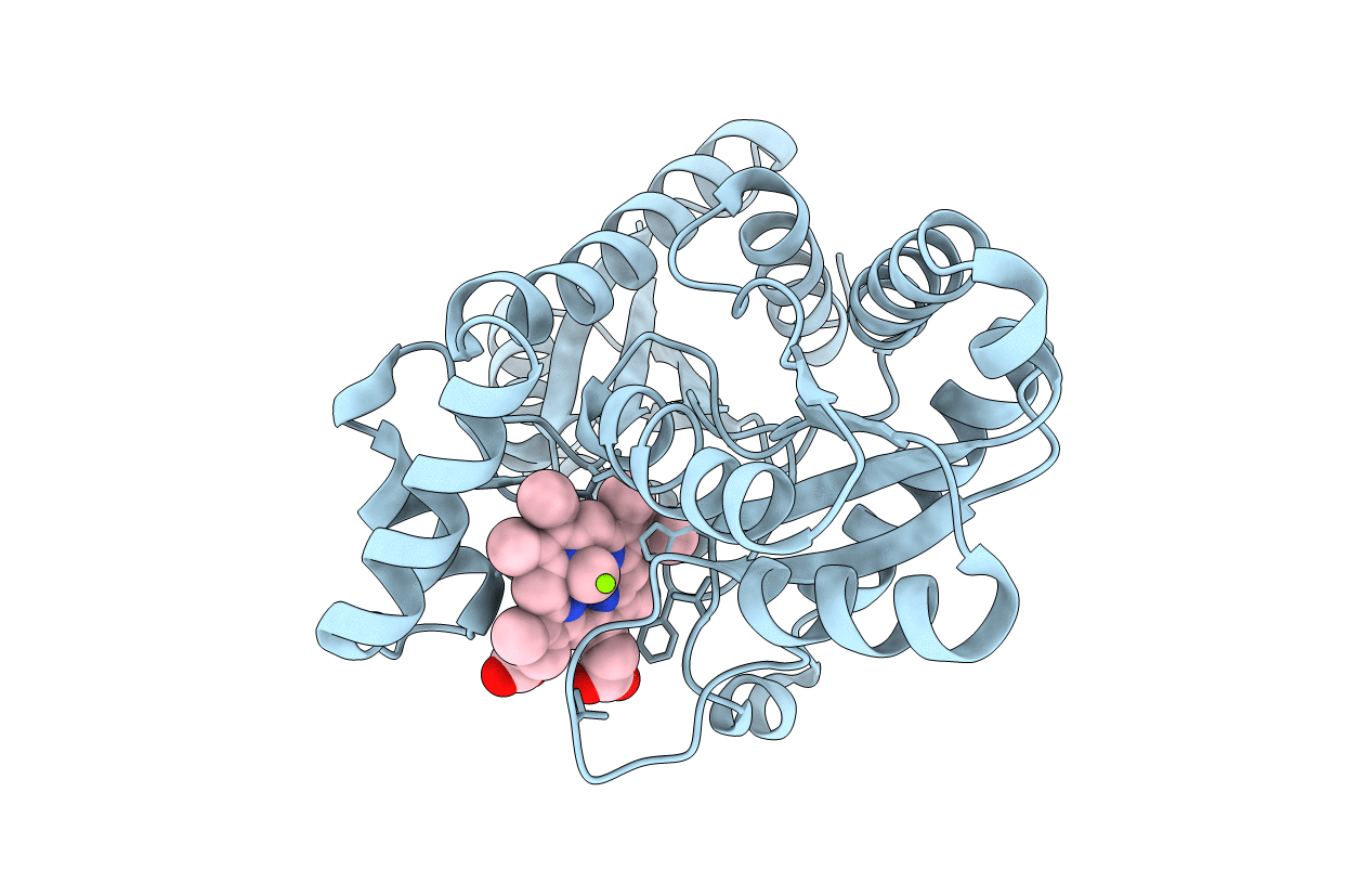 1C9E image