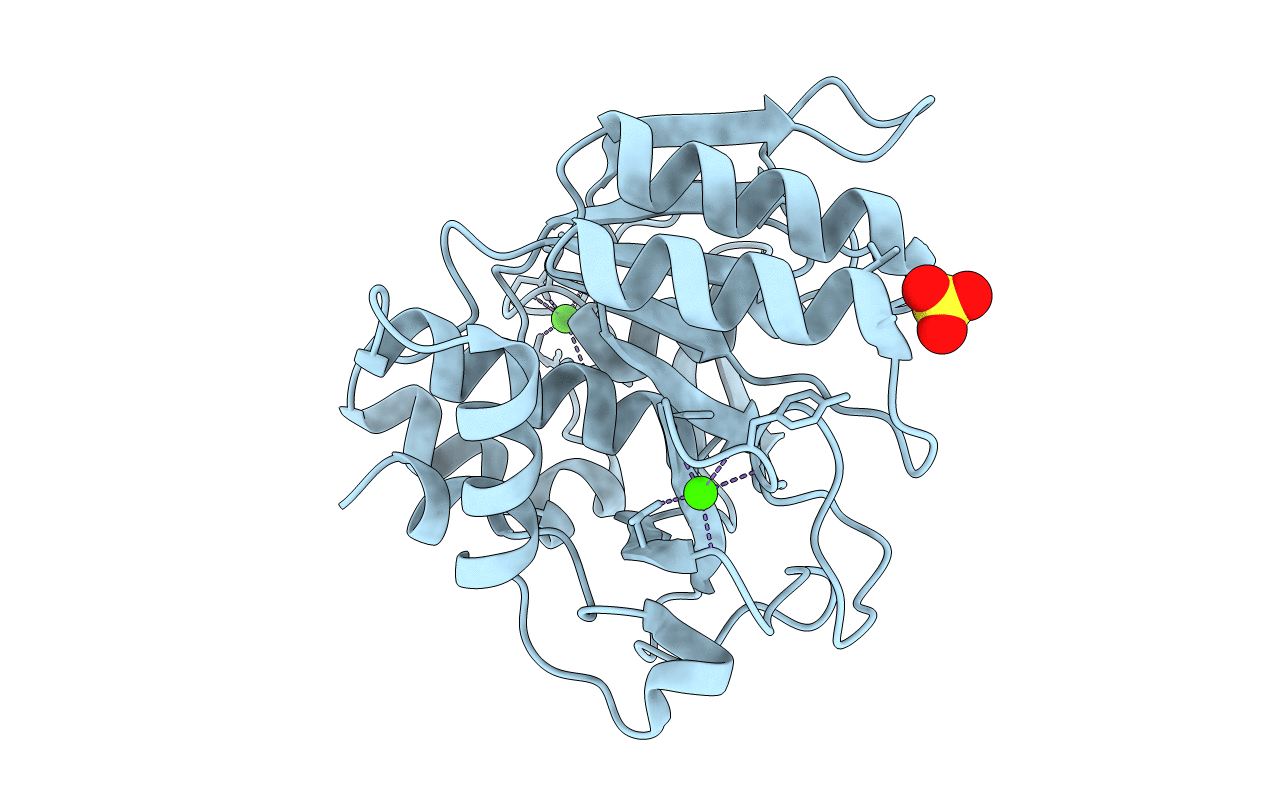 1C9M image