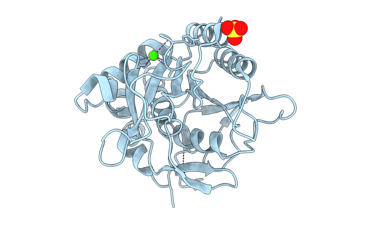 1C9N image