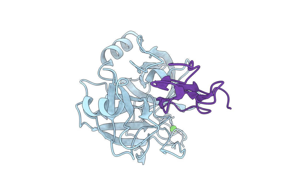 1C9P image