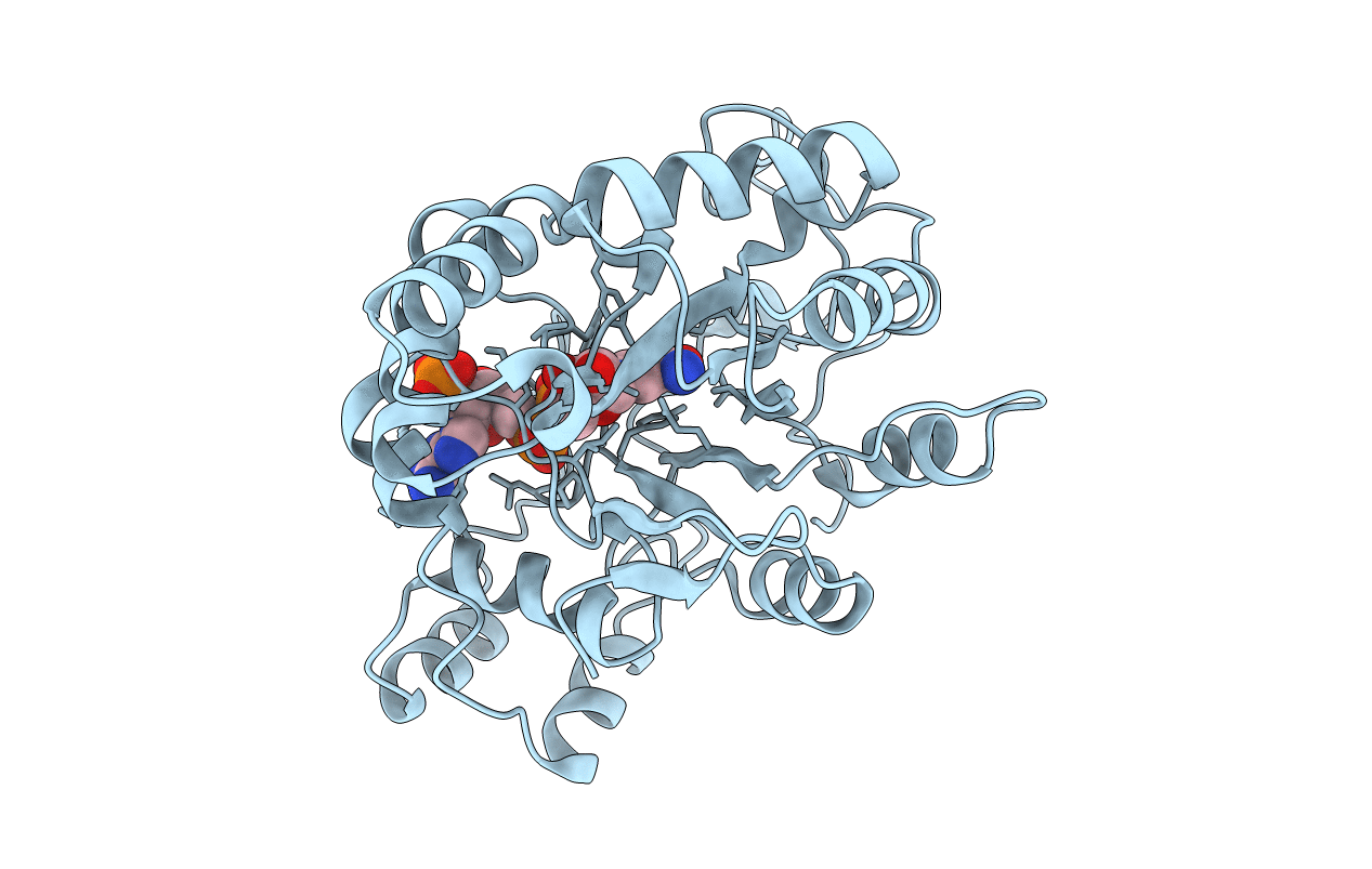 1C9W image