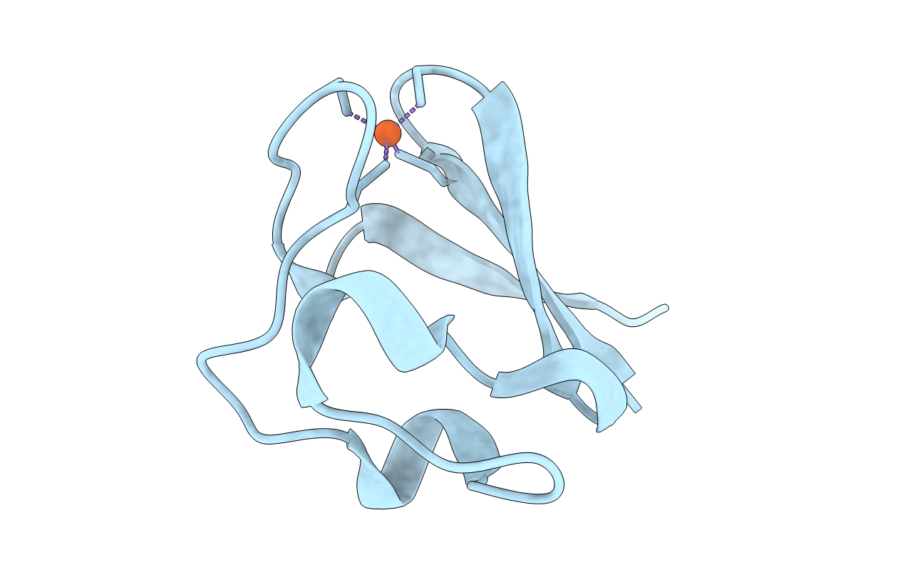 1CAD image