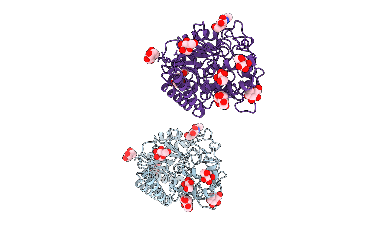1CB2 image