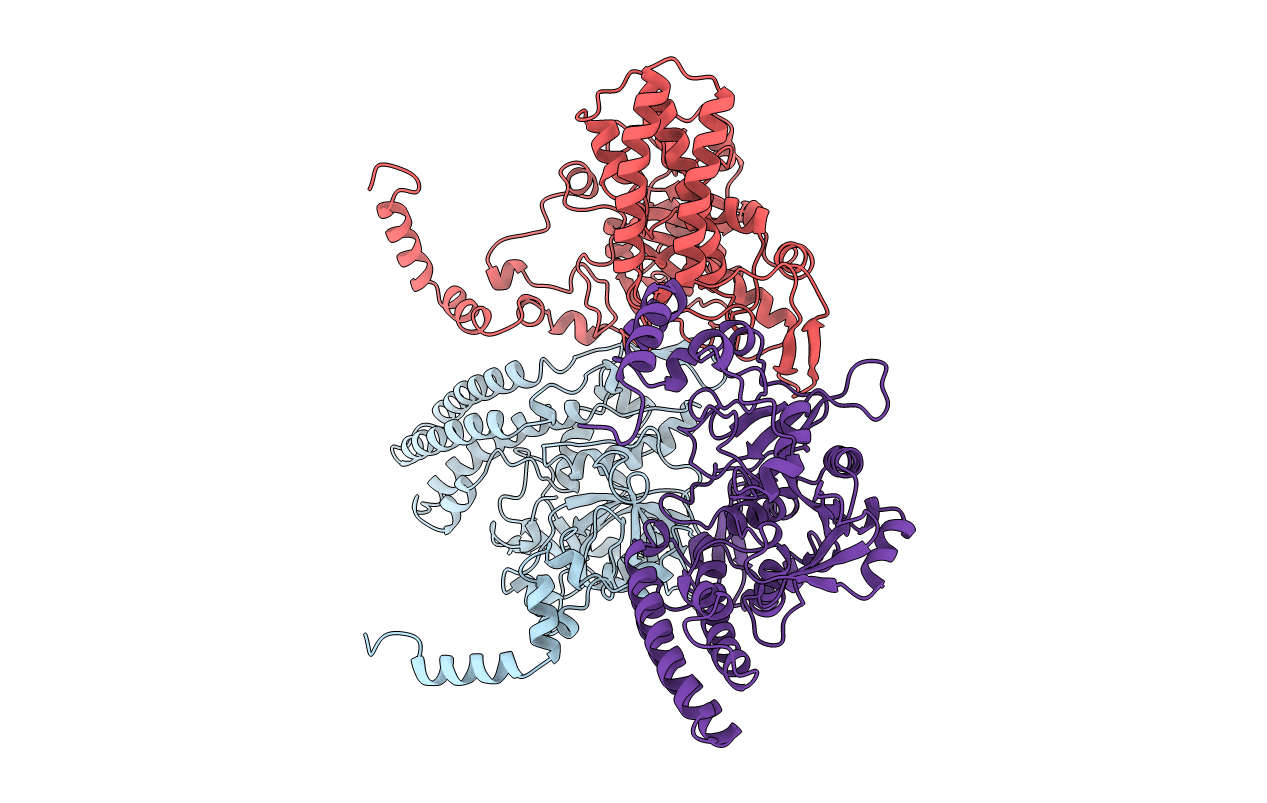 1CB5 image