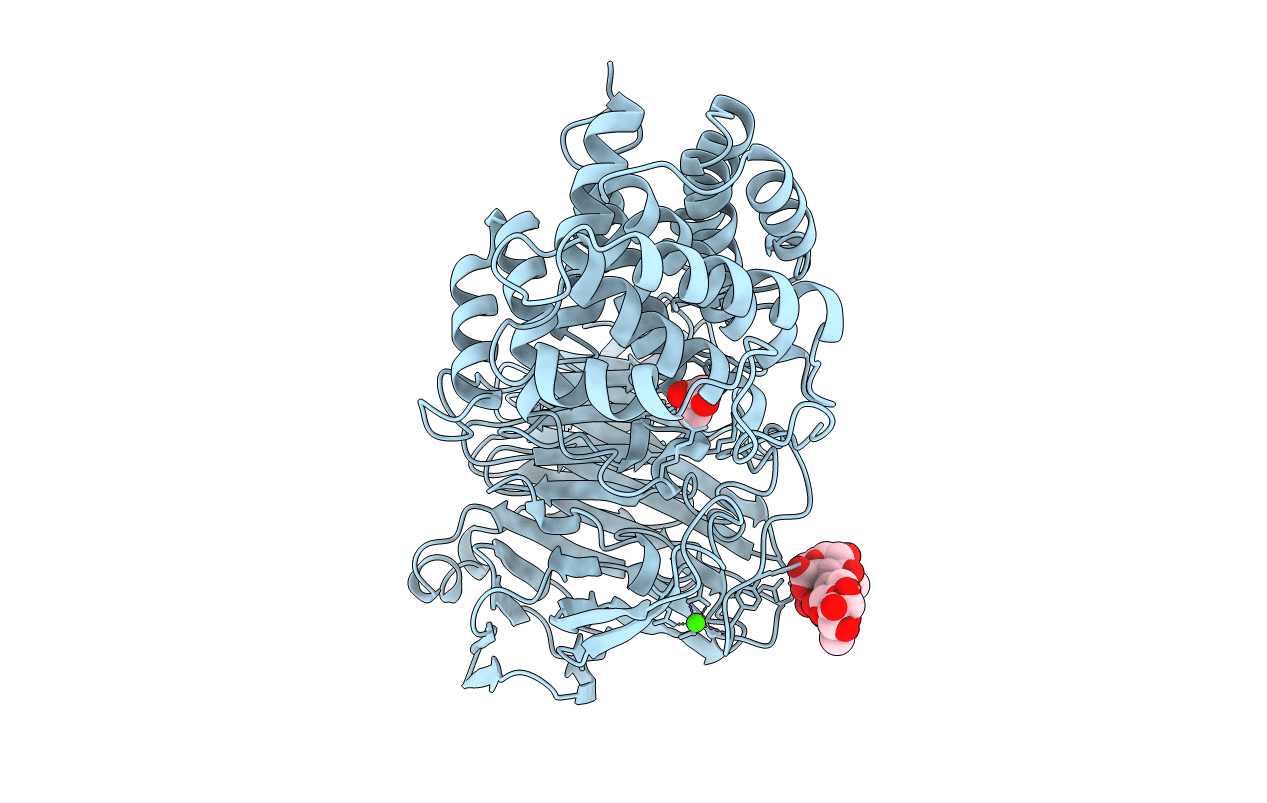 1CB8 image