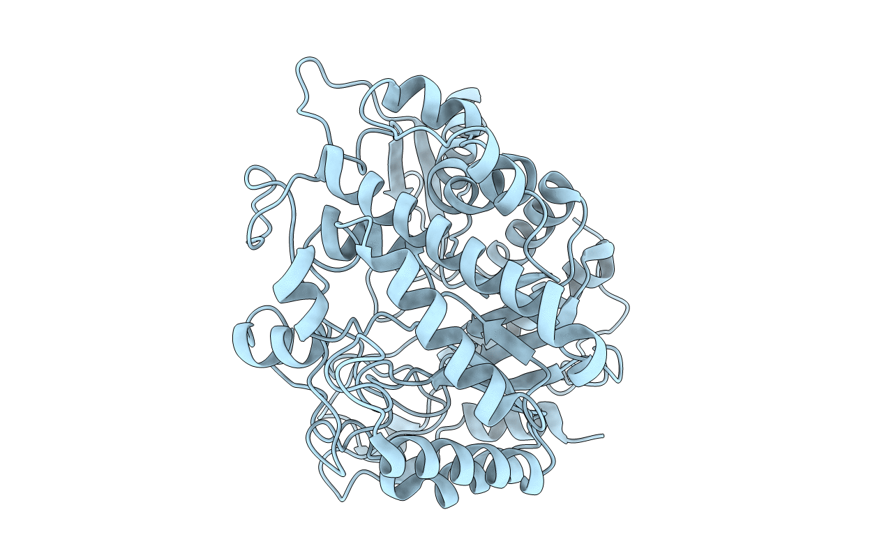 1CBG image