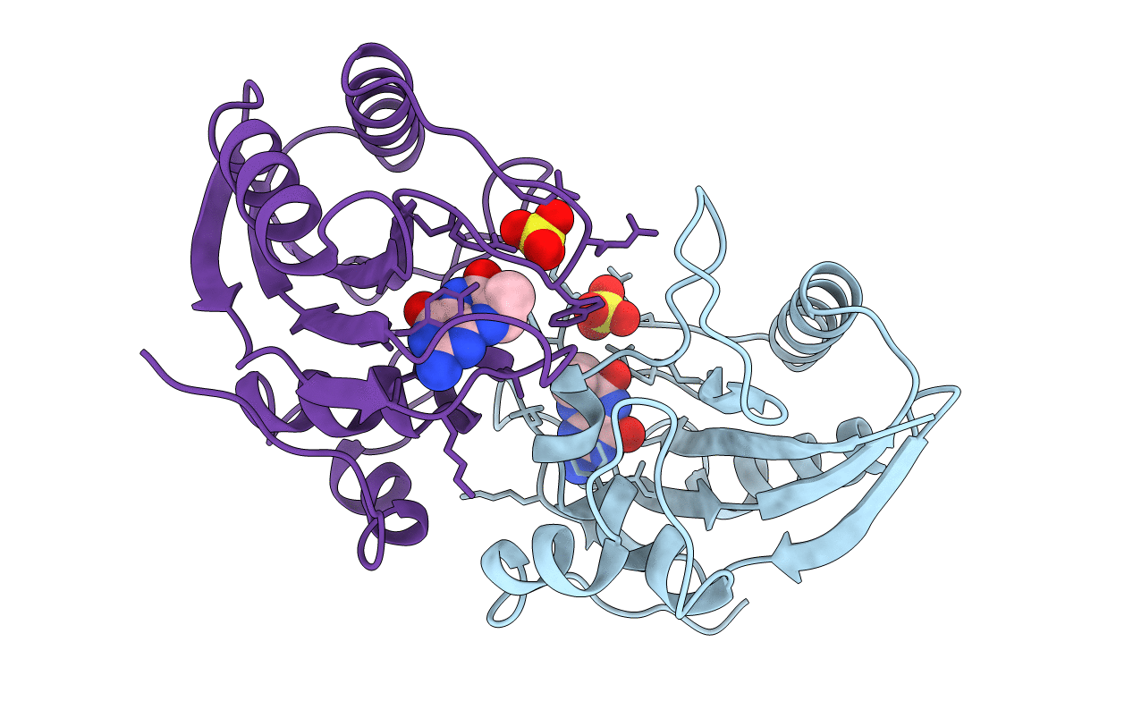 1CBK image