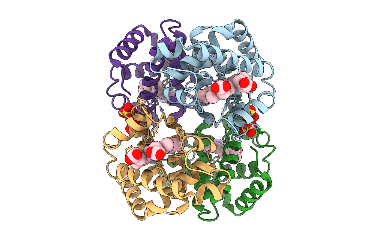 1CBL image