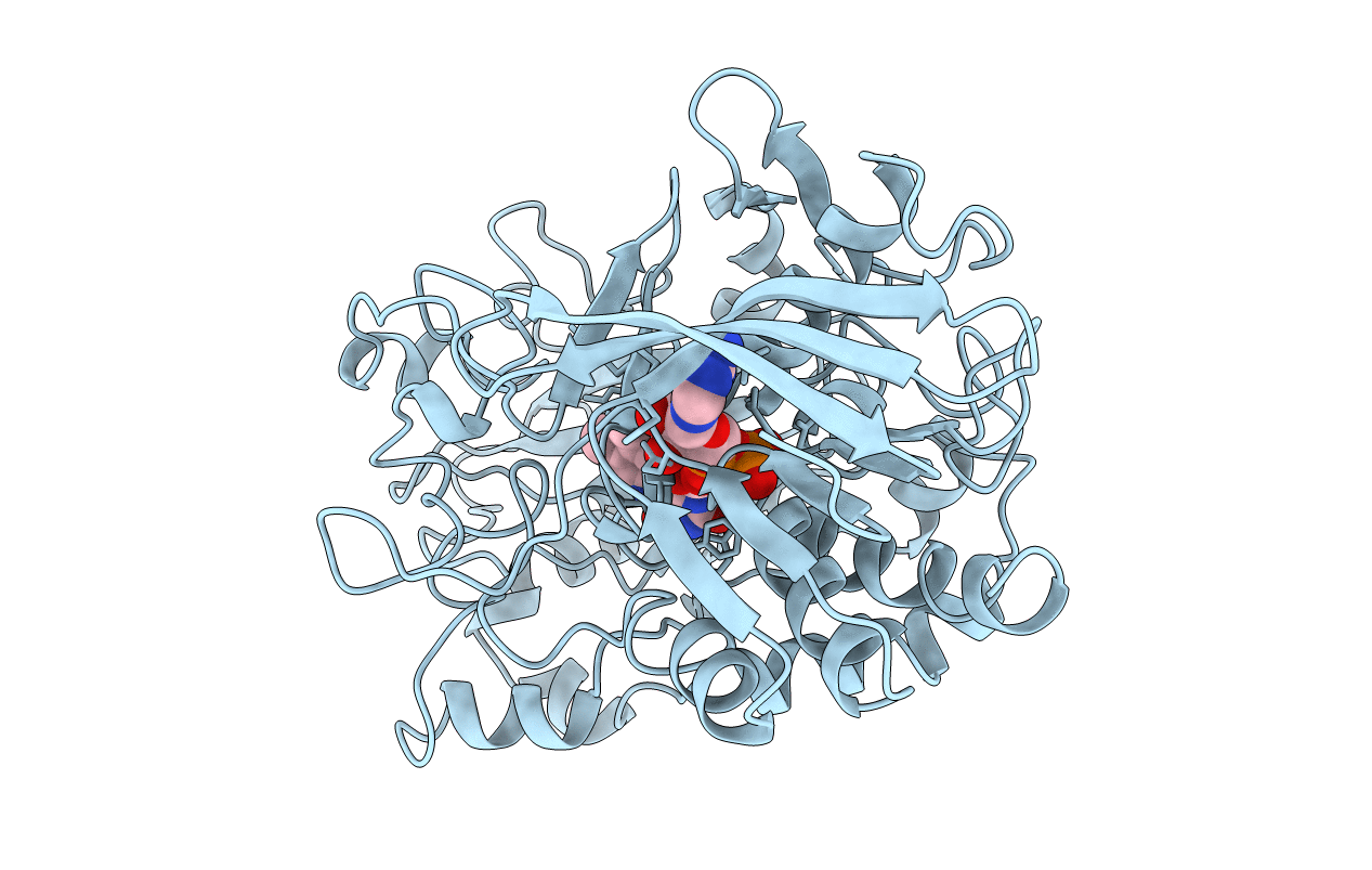 1CC2 image