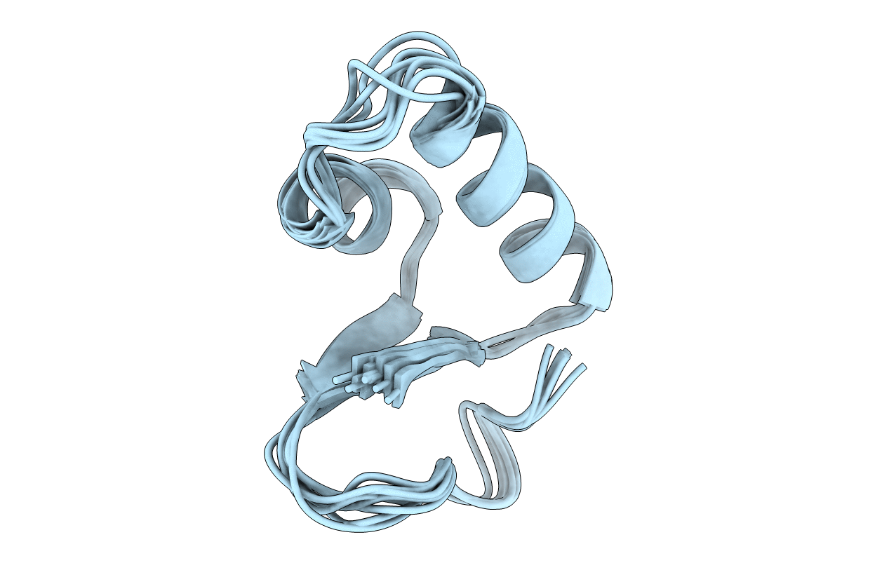 1CCM image