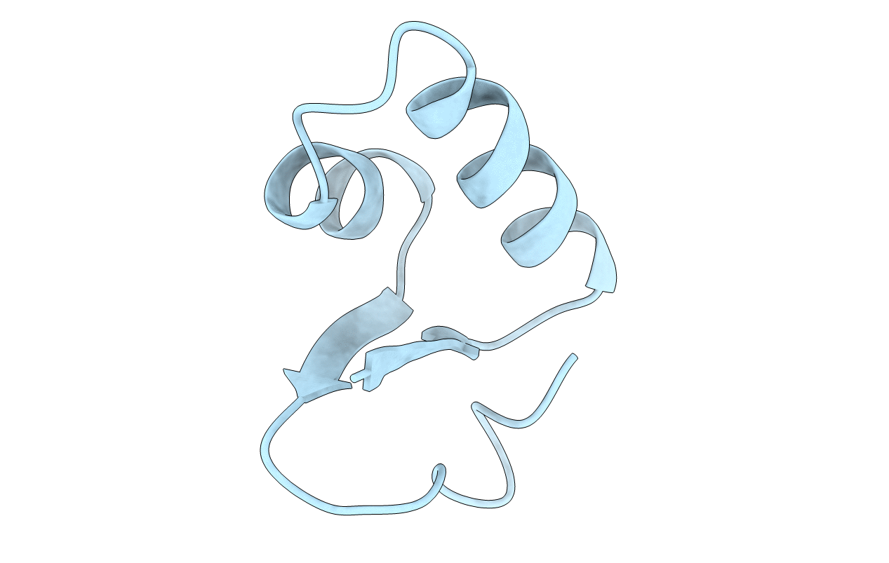 1CCN image