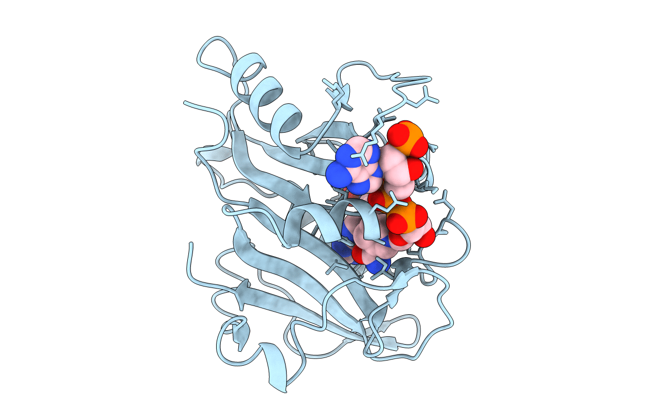 1CD2 image