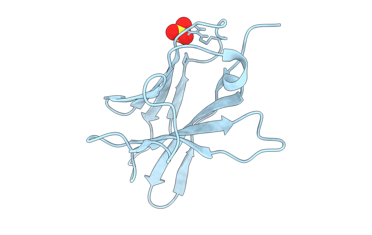 1CD8 image