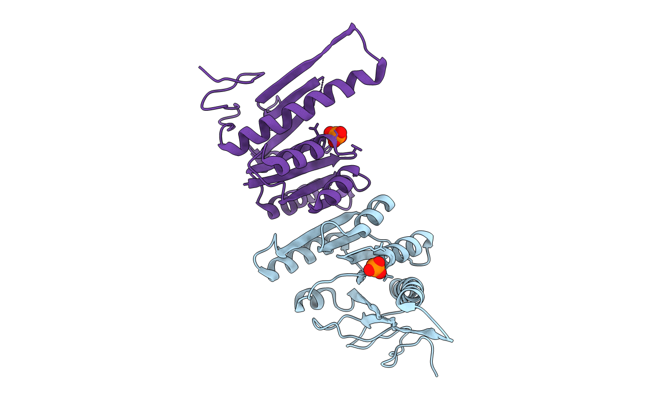 1CDD image