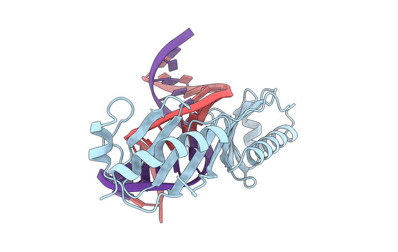 1CDW image
