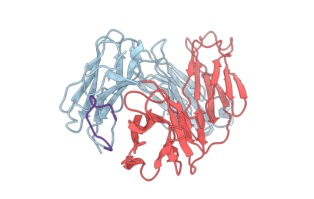 1CFS image