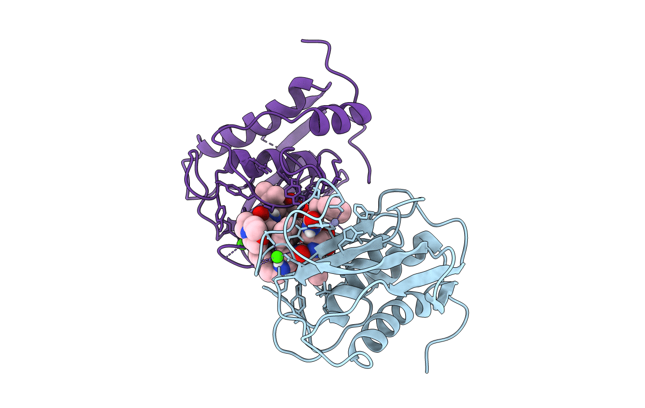 1CGL image