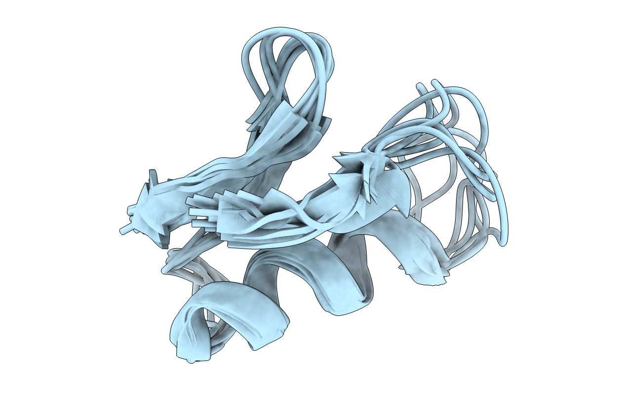 1CHL image