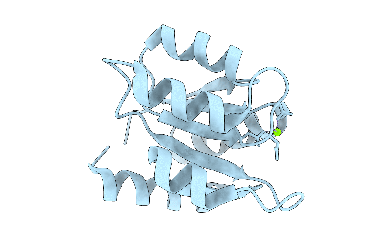 1CHN image