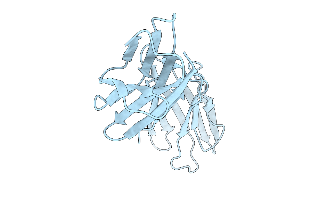 1CID image