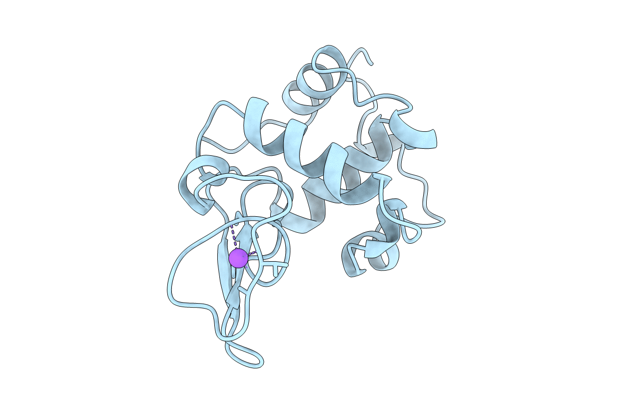 1CKD image