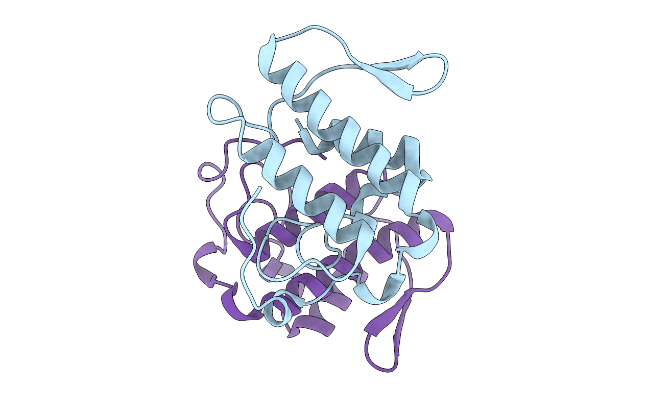 1CL5 image
