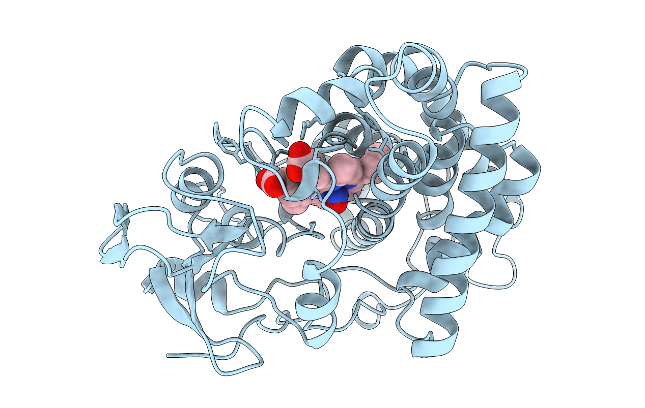 1CL6 image