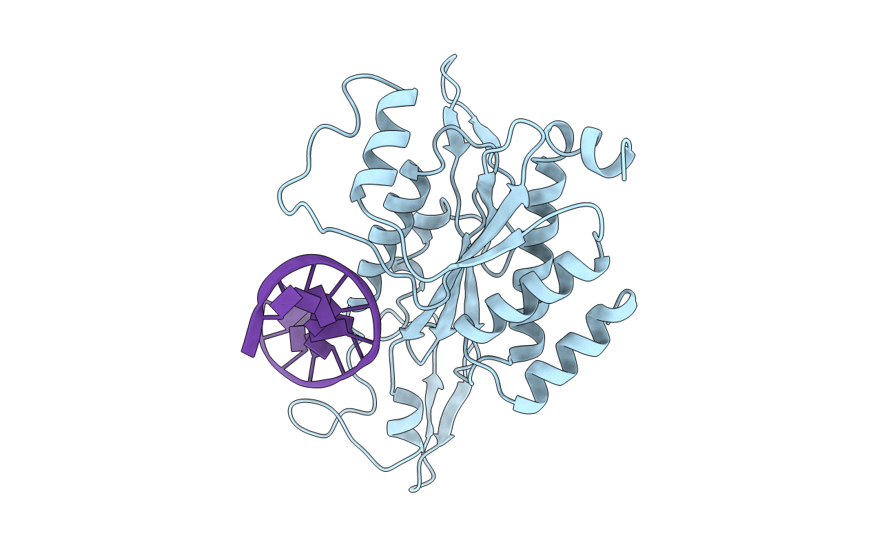1CL8 image