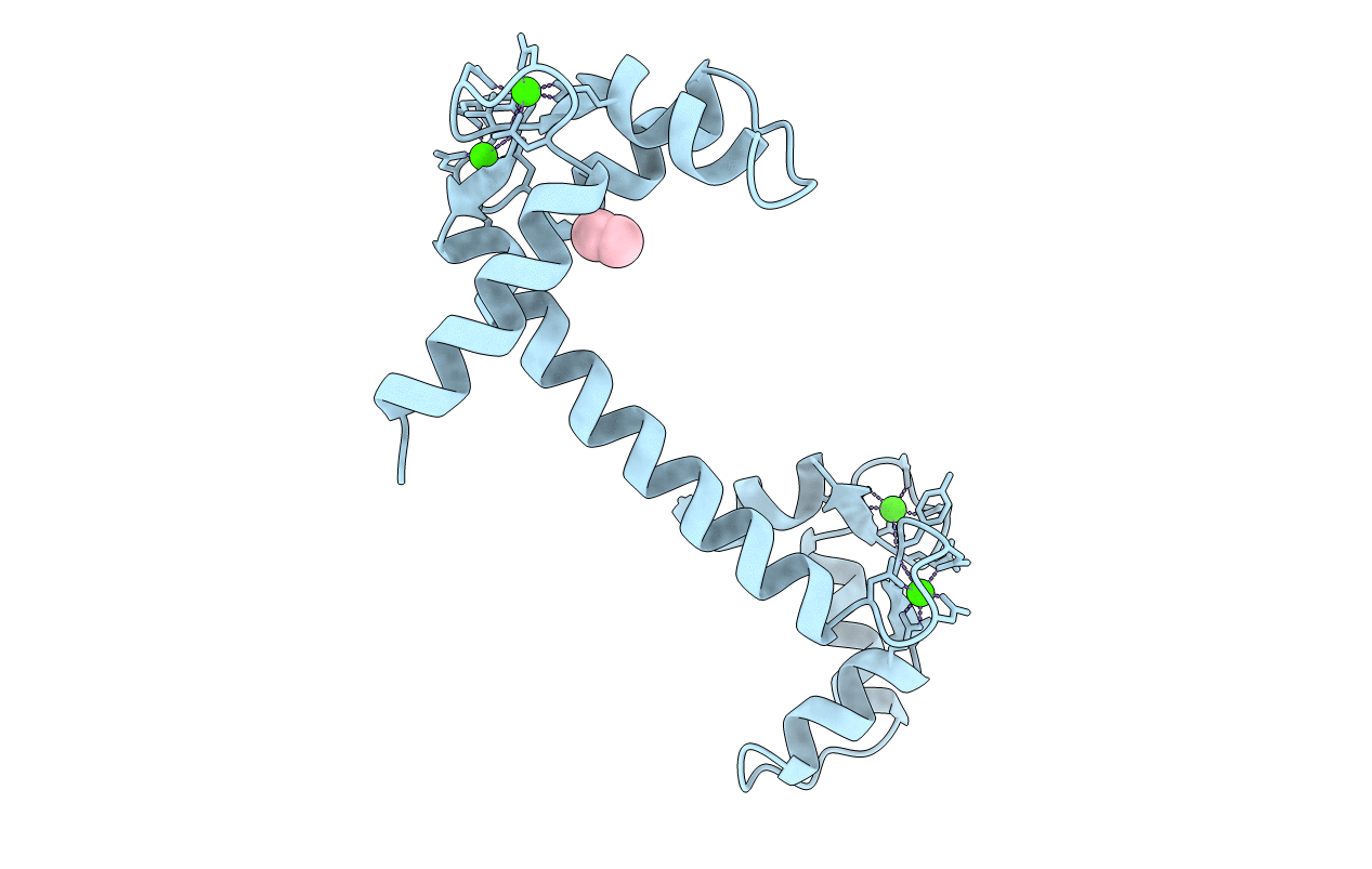 1CLL image