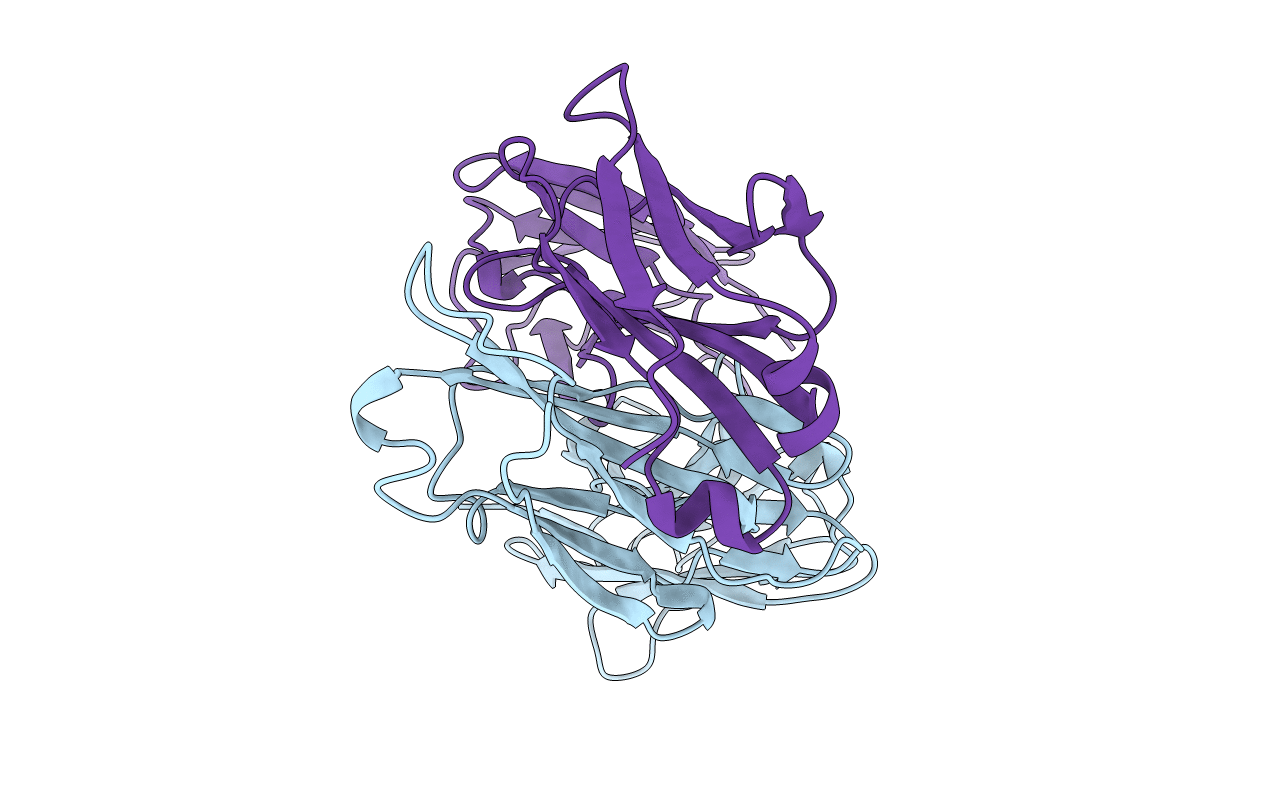 1CLO image