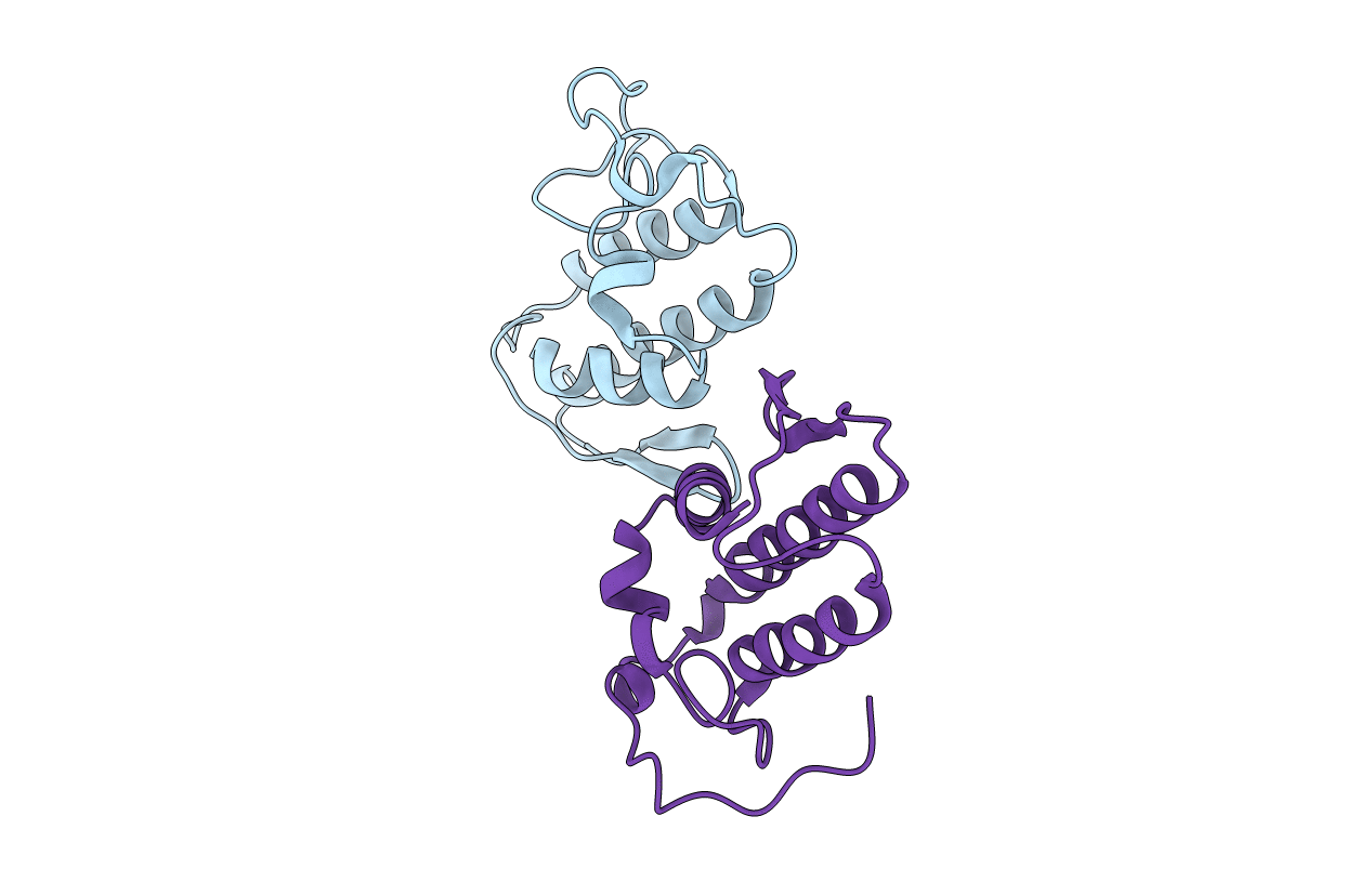 1CLP image
