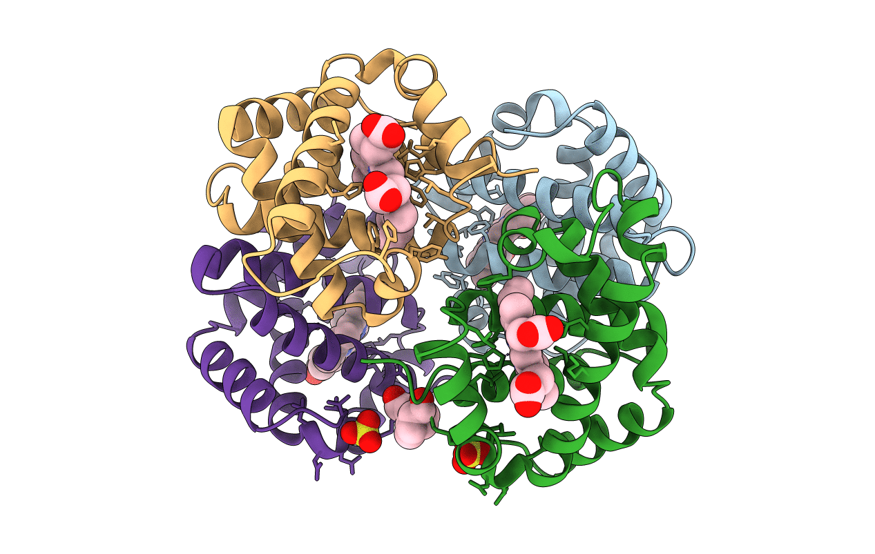 1CLS image