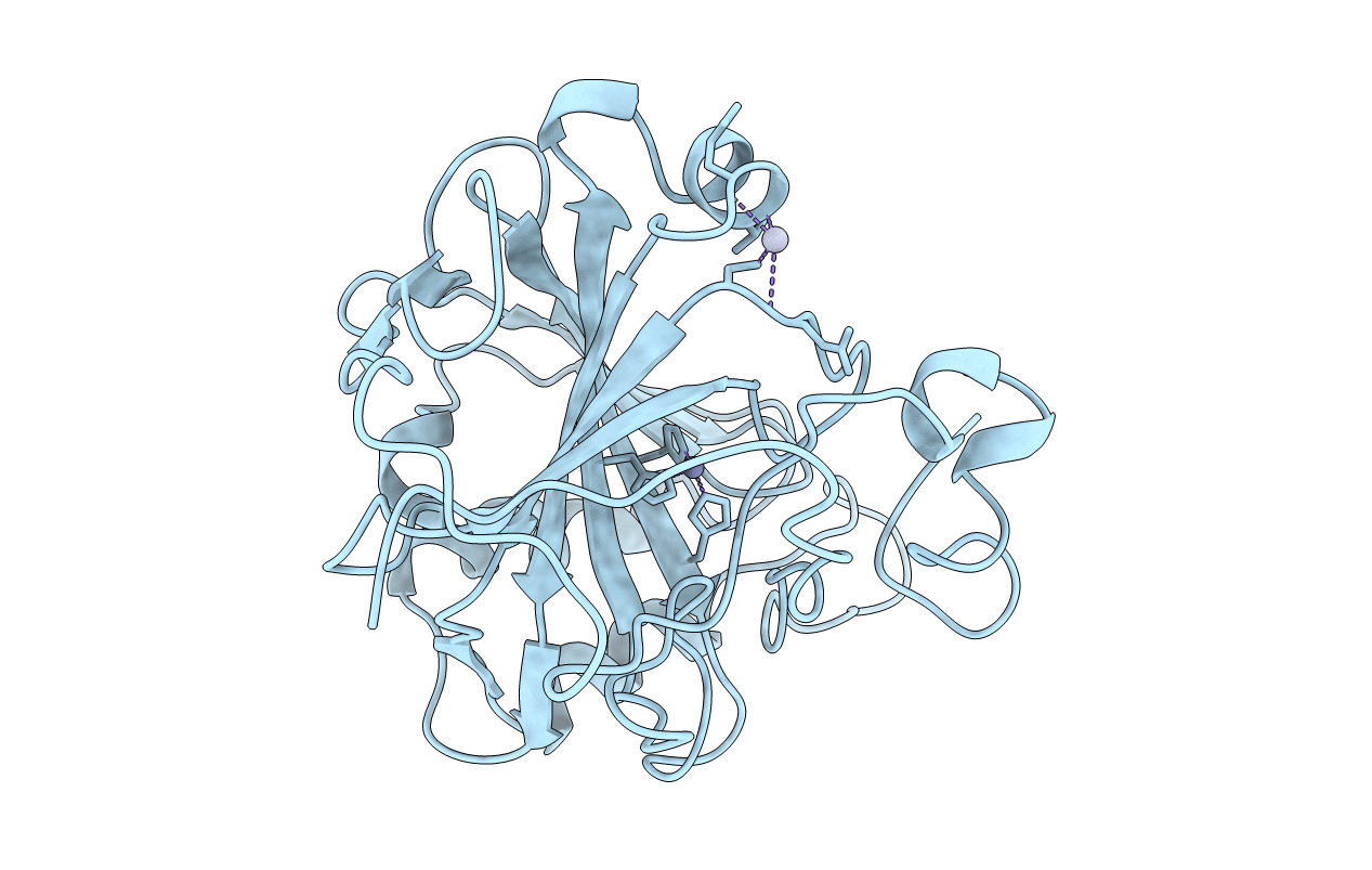 1CNI image