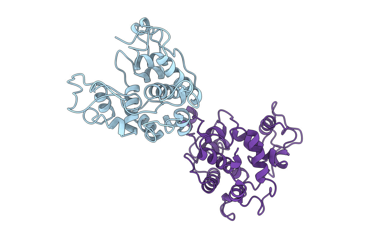 1CNS image