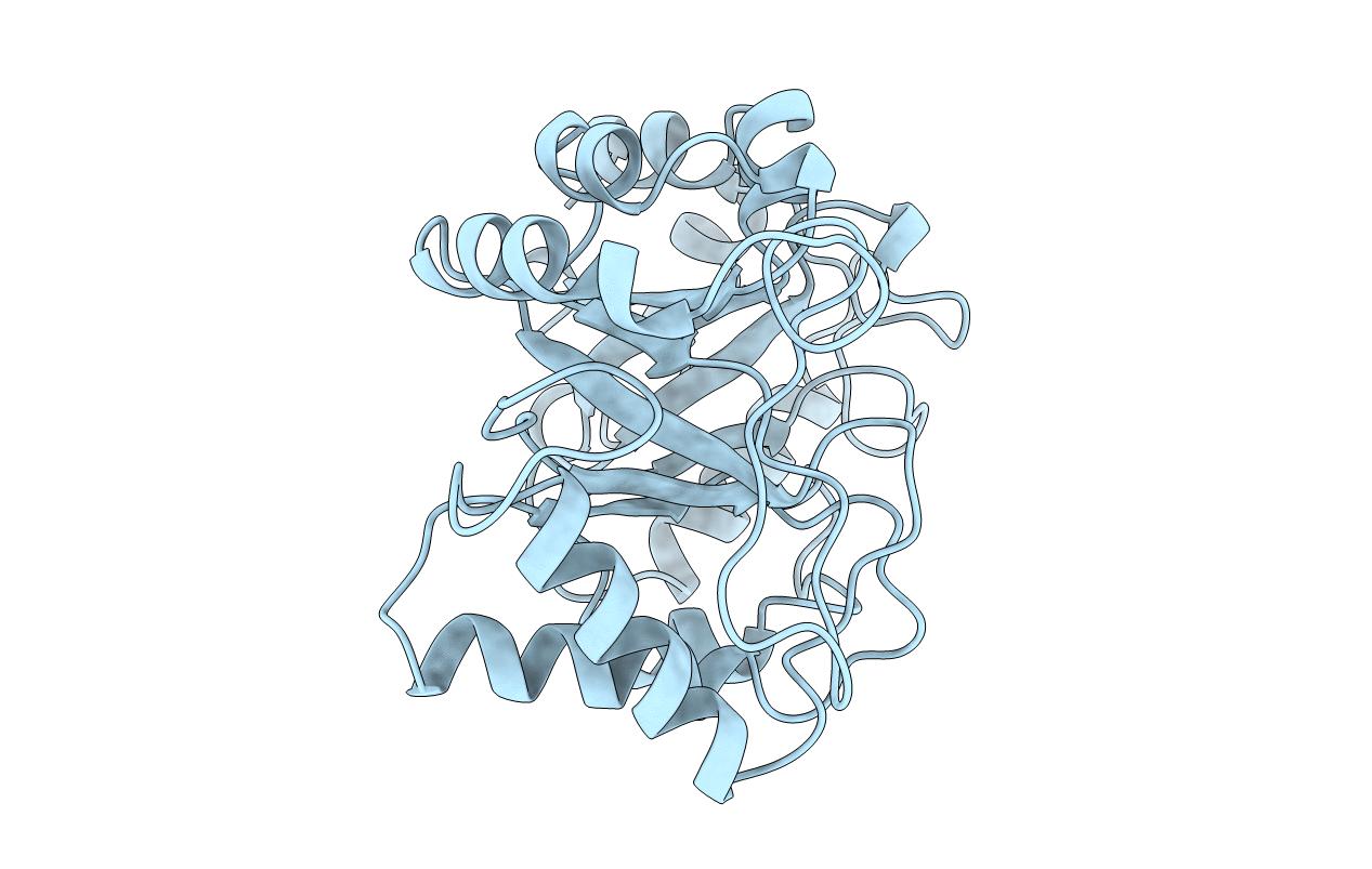 1CNV image